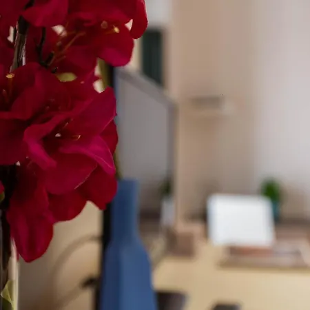 Apartment El Lagar De Cuna By Thegoodtourist Seville
